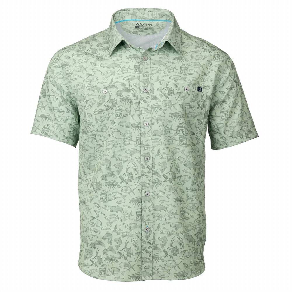 NEW AVID men's cabo inshore shirt in sage